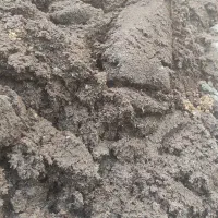 پوست کنجدشور/کنجد پوک/کنجالهه کنجد مناسب دام