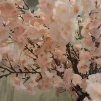 درخت شکوفه های بهاری