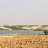 زمین باغی هفت برم