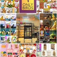 کاسکو‌شاه طوطی ملنگو راهب گرینچیک عروس هلندی قناری