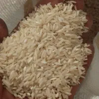 برنج ضیغمی|خوردنی و آشامیدنی|کوهدشت, |دیوار