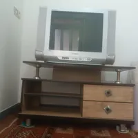 تلوزیون