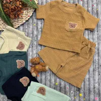 تیشرت شورت بیسکوییتی