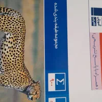 علوم نهم کانون قلم چی همرا با پاسخ تشریحی