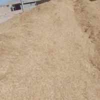 کاه زرد|خدمات باغبانی و درختکاری|دهگلان, |دیوار