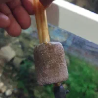 اکواریوم|ماهی|نورآباد, |دیوار