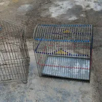 قیمت 400000هزار|لوازم جانبی حیوانات|سقز, |دیوار