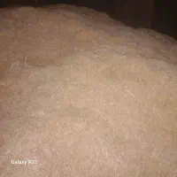 فروش کاه گندم دیمی