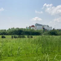 زمین نوخاله۱۲کیلومتری گلسار قطعات وکلی مدارک کامل|فروش زمین و ملک کلنگی|رشت, گلسار|دیوار