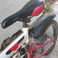 ۳ تا دوچرخه|دوچرخه، اسکیت، اسکوتر|بوشهر, |دیوار