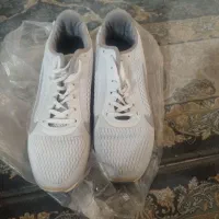 کتونی وکالج