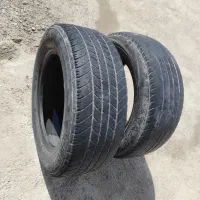 لاستیک سمند دنا