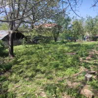 420-متر-زمین-مسکونی-با-کوچه-6-متری-شخصی