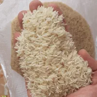 برنج فجر سوزنی ۹۰ روزه