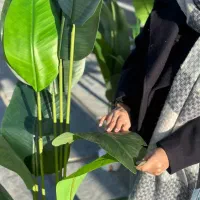 درختچه مصنوعی پخش و تکی