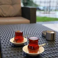 استکان نیه فنر لول پرایده