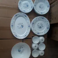 پخش آرکوپال|ظروف سرو و پذیرایی|اردبیل, |دیوار