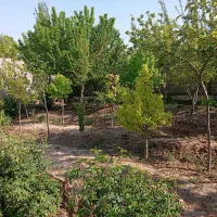 باغ فروشی  وزمین فروشی