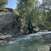 فروش-مجوز-گلخانه-با-موقعیت-عالی-قلعه-تل
