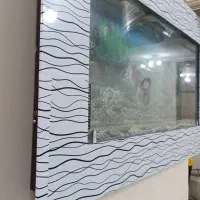 آکواریوم ماهی|ماهی|بروجن, |دیوار