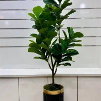 گل و درختچه مصنوعی خارجی