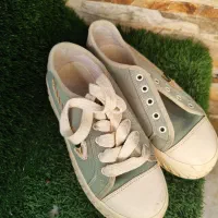 کفش|کیف، کفش، کمربند|مشکین‌دشت, |دیوار