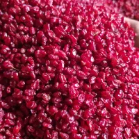 زرشک امسالی اناری زیر تالاری