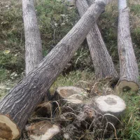 مرکز جمع اوری چوب