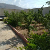 باغچه چهار دیواری|فروش زمین و ملک کلنگی|هشتگرد, فشند|دیوار