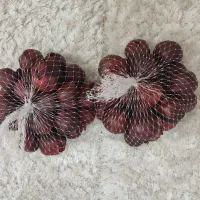 انار خشک شده برای تزیین میز آرایی شب یلدا|صنایع دستی و سایر لوازم تزئینی|اهواز, کیانپارس |دیوار