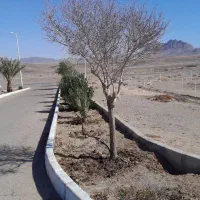 هشت هزار متر زمین روستا با سوله و آب و برق