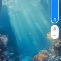 فروش سیمکارت دائمی همراه اول 0918