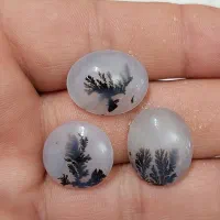 سنگ شجر|بدلیجات|کرمانشاه, |دیوار