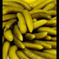 اهواز کوت نواصر