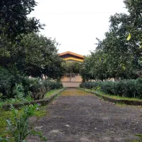 ویلا ساحلی ، جنگلی و سنتی تک خواب و دوخواب