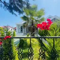 ویلاگل-کاغذی-قیمت-کل-فقط4500-شرایطی-بخرید