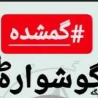 گوشواره گمشده