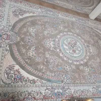 یک جفت فرش ۷۰۰شانه