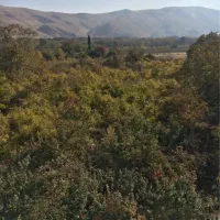 فروش-باغ-گروه-یک-ستارخان-دارای-آب-شهری