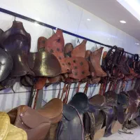 زین اسب ولوازم سوارکاری|اسب و تجهیزات اسبسواری|کرج, کیانمهر|دیوار