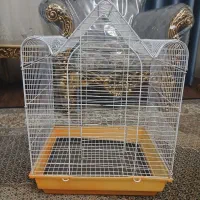 قفس عروس هلندی