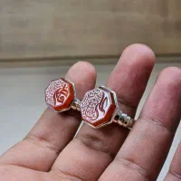 تنوع بالا ست جدید|بدلیجات|قم, آذر (نکویی)|دیوار