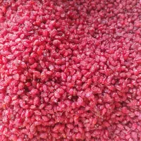 مرکز خرید و فروش زرشک