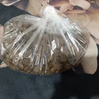 لوازم پت خانگی|لوازم جانبی حیوانات|مشهد, انقلاب|دیوار