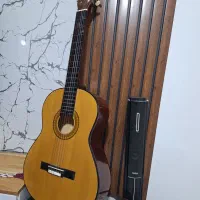 گیتار|گیتار، بیس، امپلیفایر|مراوه, |دیوار