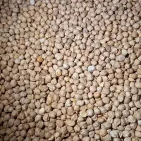 حبوبات به قیمت عمده|خوردنی و آشامیدنی|بومهن, |دیوار