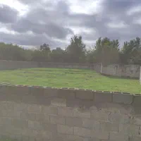 زمین مسکونی ۸۲۴ متری جاده ماسوله