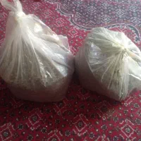 شوید نعناع تازه خشک