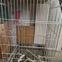 قفس کاسکویی