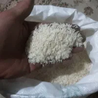 برنج طارم ۵۵۰کیلو